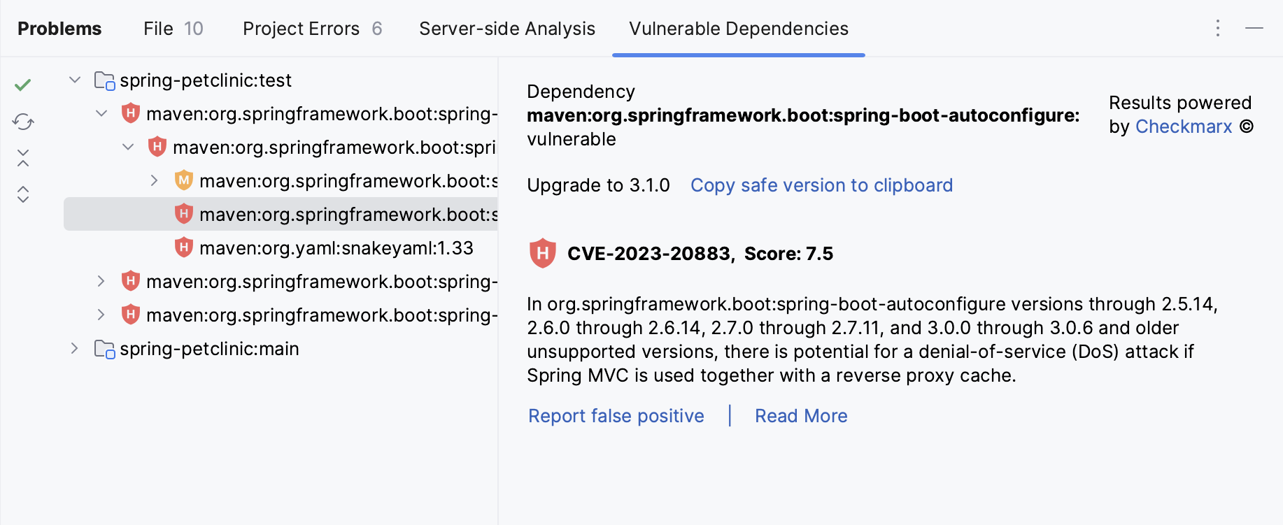 Vulnerable Dependencies