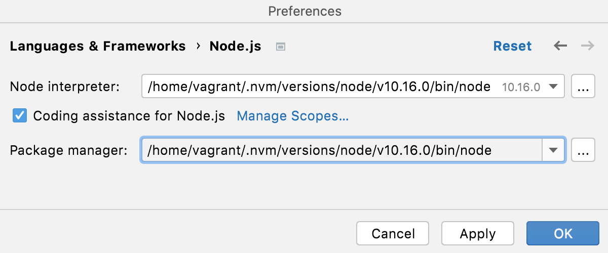 配置远程 Node.js 解释器：指定包管理器