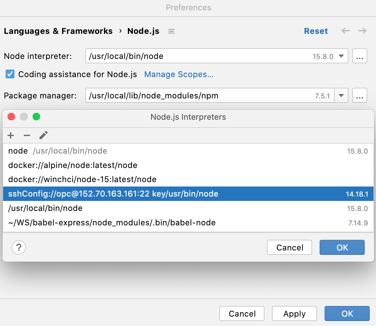 远程解释器对话框：通过 SSH 添加到列表中的新 Node.js 解释器