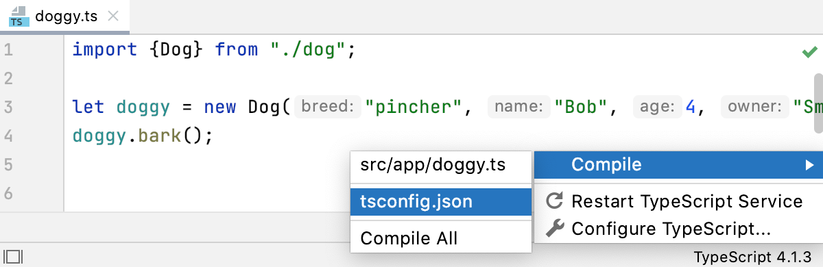 TypeScript 小部件：从 tsconfig.json 编译自定义范围